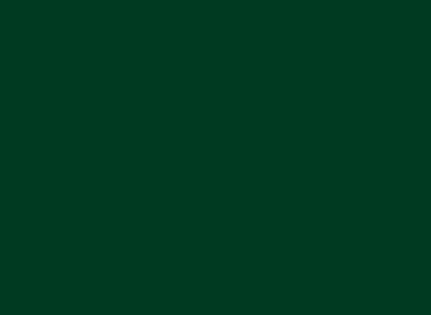 Project image 93